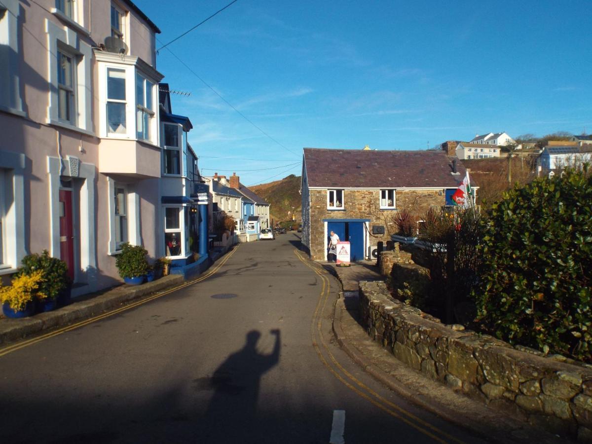 Pendyffryn Manor Bed & Breakfast Little Haven Buitenkant foto